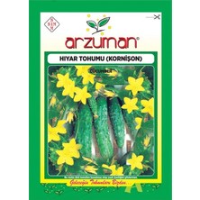 Arzuman Kornişon Salatalık Tohumu 10 gr