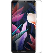 Kzy Huawei Mate 10 Pro Temperli Ekran Koruyucu Cam Şeffaf