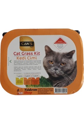 Can's Cat Grass Kit Kedi Çimi