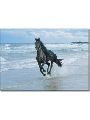 La Vita E Bella Siyah At Temalı Kanvas Tablo AT-1004