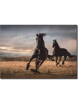 La Vita E Bella Atlar Temalı Kanvas Tablo AT-1006