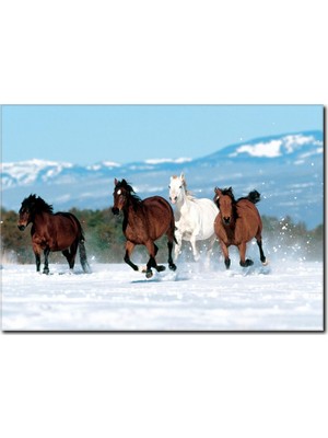 La Vita E Bella Koşan Atlar Temalı Kanvas Tablo AT-1007