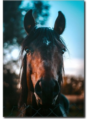 La Vita E Bella At Kanvas Tablo AT-1021