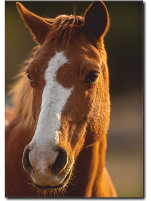 La Vita E Bella At Portre Kanvas Tablo AT-1026