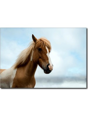 La Vita E Bella Doğa ve At Kanvas Tablo AT-1031