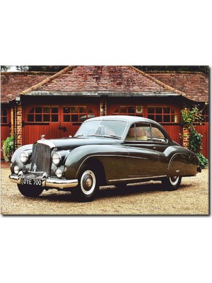 La Vita E Bella Siyah Araba Kanvas Tablo CC-1015