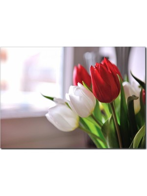 La Vita E Bella Lale Temalı Kanvas Tablo DC-1019