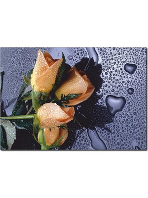 La Vita E Bella Islak Zemin Üzerine Gül Detaylı Kanvas Tablo DC-1022