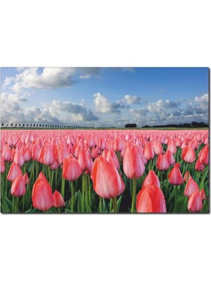 La Vita E Bella Lale Bahçesi Temalı Kanvas Tablo DC-1025