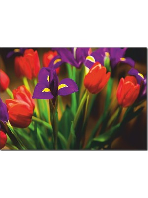 La Vita E Bella Mor ve Kırmızı Lale Temalı Kanvas Tablo DC-1030