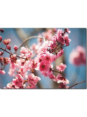 La Vita E Bella Bahar Çiçekleri Temalı Kanvas Tablo DC-1034