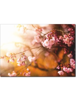 La Vita E Bella Soft Renklerde Kanvas Tablo DC-1039