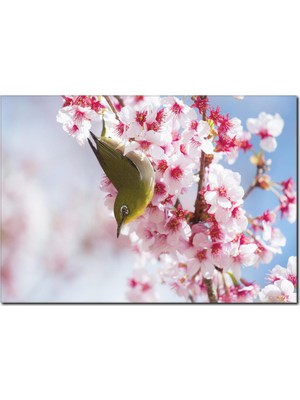 La Vita E Bella Çiçeğe Konan Kuş Temalı Kanvas Tablo DC-1041
