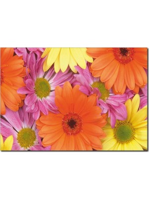 La Vita E Bella Yaz Renkleri Temalı Kanvas Tablo DC-1050