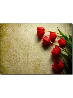 La Vita E Bella Eskitilmiş Zemin Üzerine Kırmızı Laleler Temalı Kanvas Tablo DC-1052
