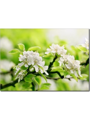 La Vita E Bella Beyazın Saflığı Temalı Kanvas Tablo DC-1070