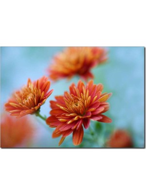 La Vita E Bella Turuncu Çiçekler Temalı Kanvas Tablo DC-1075