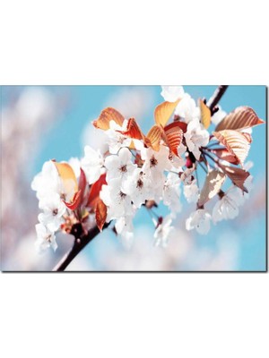 La Vita E Bella Bahar Dalları Temalı Kanvas Tablo DC-1079
