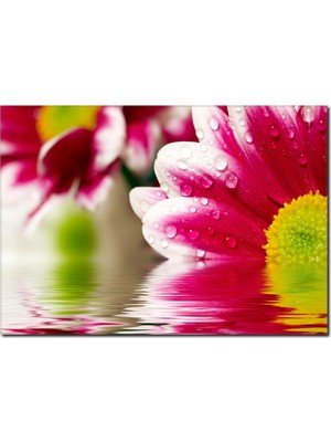 La Vita E Bella Suya Düşen Çiçekler Temalı Kanvas Tablo DC-1080