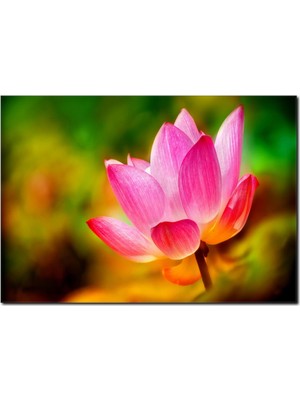 La Vita E Bella Renkli Çiçek Temalı Kanvas Tablo DC-1081