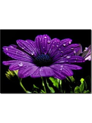 La Vita E Bella Damlacık Detaylı Mor Çiçek Kanvas Tablo DC-1087