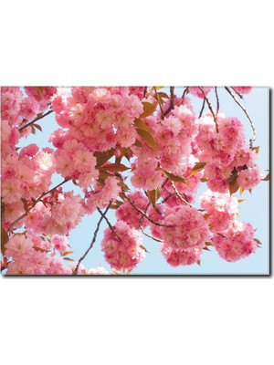 La Vita E Bella Dallarda Bahar Çiçekleri Kanvas Tablo DC-1101