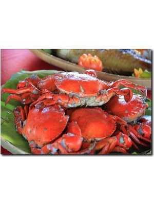 La Vita E Bella Yengeç Temalı Kanvas Tablo DZ-1003