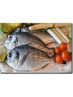 La Vita E Bella Somon Görselli Kanvas Tablo DZ-1010