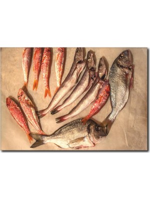 La Vita E Bella Balık Çeşitleri Görselli Kanvas Tablo DZ-1016