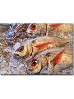 La Vita E Bella Balık Kanvas Tablo DZ-1039