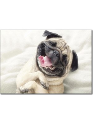 La Vita E Bella Şımarık Köpek Temalı Kanvas Tablo HA-1004