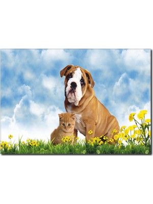 La Vita E Bella Kedi Köpek Dostluğu Kanvas Tablo HA-1007