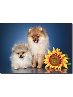 La Vita E Bella Sevimli Köpekler Temalı Kanvas Tablo HA-1021