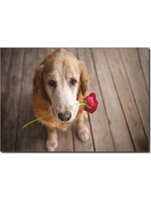 La Vita E Bella Duygusal Köpek Temalı Kanvas Tablo HA-1027