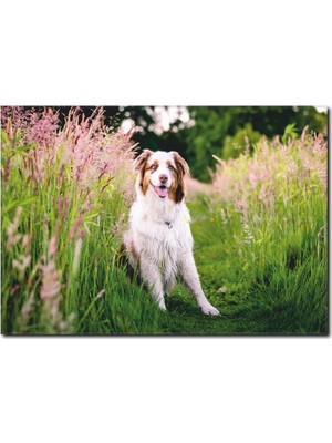 La Vita E Bella Beyaz Köpek Temalı Kanvas Tablo HA-1029