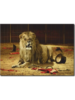 La Vita E Bella Sirk Aslanı Temalı Kanvas Tablo HA-1032