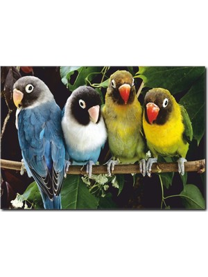 La Vita E Bella Renkli PapağanlarTemalı Kanvas Tablo HA-1048