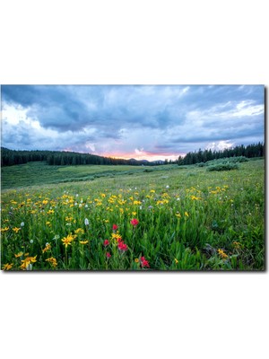 La Vita E Bella İlkbahar Manzaralı Kanvas Tablo MN-1012