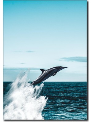 La Vita E Bella Yunus Balığı Kanvas Tablo MN-1066