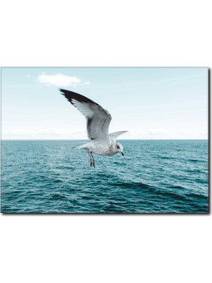 La Vita E Bella Deniz ve Martı Kanvas Tablo MN-1069