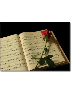 La Vita E Bella Notalarda Aşk Temalı Kanvas Tablo MS-1003