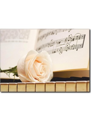 La Vita E Bella Piyanoda Beyaz Gül Temalı Kanvas Tablo MS-1007