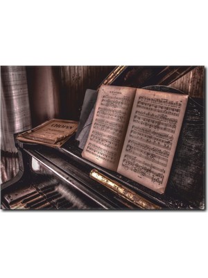 La Vita E Bella Chopin Detaylı Kanvas Tablo MS-1012