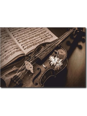 La Vita E Bella Siyah Beyaz Keman Detaylı Tablo MS-1014