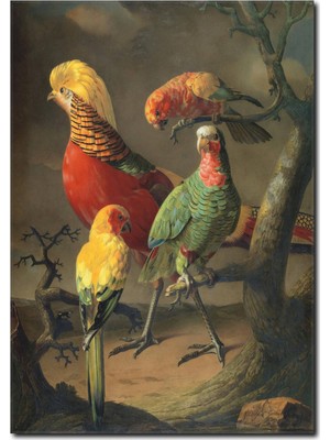 La Vita E Bella Renkli Papağanlar Yağlı Boya Tablo RT-1018