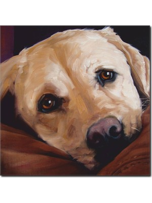 La Vita E Bella Güzel Köpek Yağlı Boya Tablo RT-1022