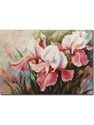 La Vita E Bella Pembe ve Beyaz Çiçekli Yağlı Boya Tablo RT-1040