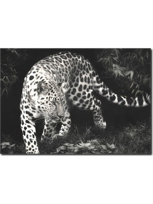La Vita E Bella Siyah Beyaz Leopar Kanvas Tablo SB-1006