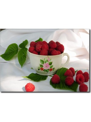 La Vita E Bella Taze Böğürtlenler Temalı Kanvas Tablo SM-1008