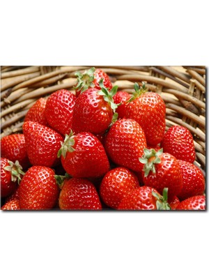 La Vita E Bella Sepetteki Çilekler Temalı Kanvas Tablo SM-1018